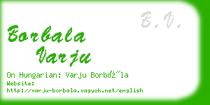 borbala varju business card